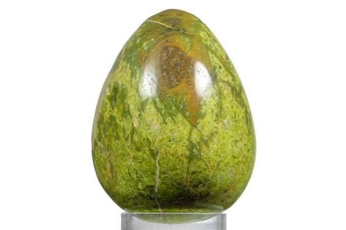 Polished Green Opal Egg - Madagascar #356172